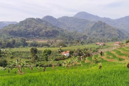 JA共済連による、国際復興開発銀行が発行する「サステナブル・ディベロップメント・ボンド」への投資について